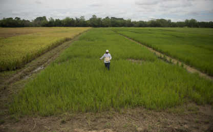 Juan Pablo Casadiego Guevara is to participate in the Global Youth Ag-Summit that seeks to reduce world hunger.