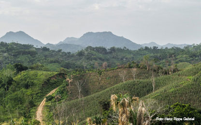 Picture of the Colombian countryside. Photo by Hanz Rippe Gabriel.