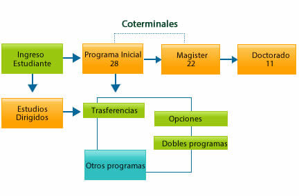 Imagen de un esquema sobre el proceso de un estudiante dentro de la universidad