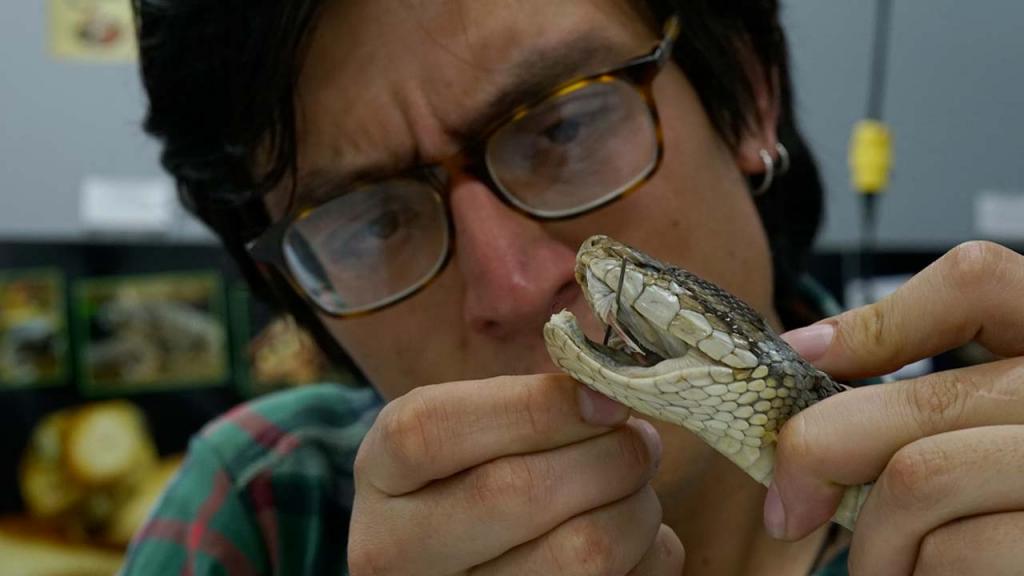 Student with a snake on his hands